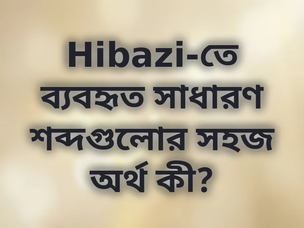 ক্যাসিনো টার্মস গাইড